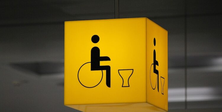 disabled toiler